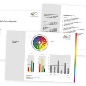 AEC-Disc professionelle Potenzialanalyse